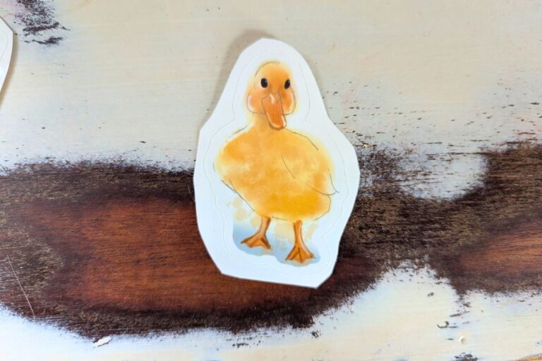 finished watercolor baby duck sticker on antique background